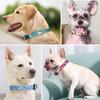 Cross-Border Pet Dog Collar Chest Harness Leash Wholesale Large Medium Small Dogs Polyester Dog Collar Amazon