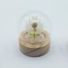 Floral Glow Garden Dome – 1 Dandilion- LED Battery