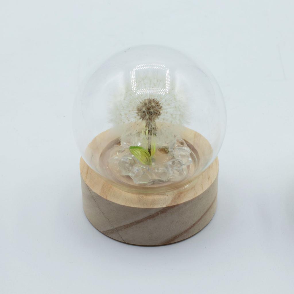 Floral Glow Garden Dome – 1 Dandilion- LED Battery