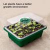 12 Hole Plant Seed Grows Box Nursery Seedling  Garden Yard Tray Hot