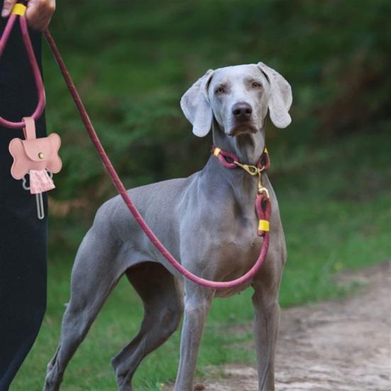 1 Set Pet Poop Bag Dispenser Convenient Dog Poop Pickup Bag Organizer Compact Pet Waste Bag Holder for Outdoor