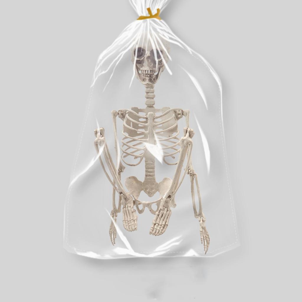 Halloween 70cm Skeleton Simulation Human Plastic Skeleton Haunted House Prop Skeleton Decoration