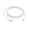 Apple Lightning To USB Cable (1 M)