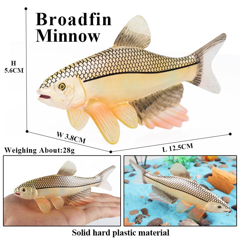 Oenux Морские животные Коралл Осьминог Наутилоидея Краб Морская звезда Океан Модель Фигурки Образовательная Коллекция Игрушка Детский Подарок