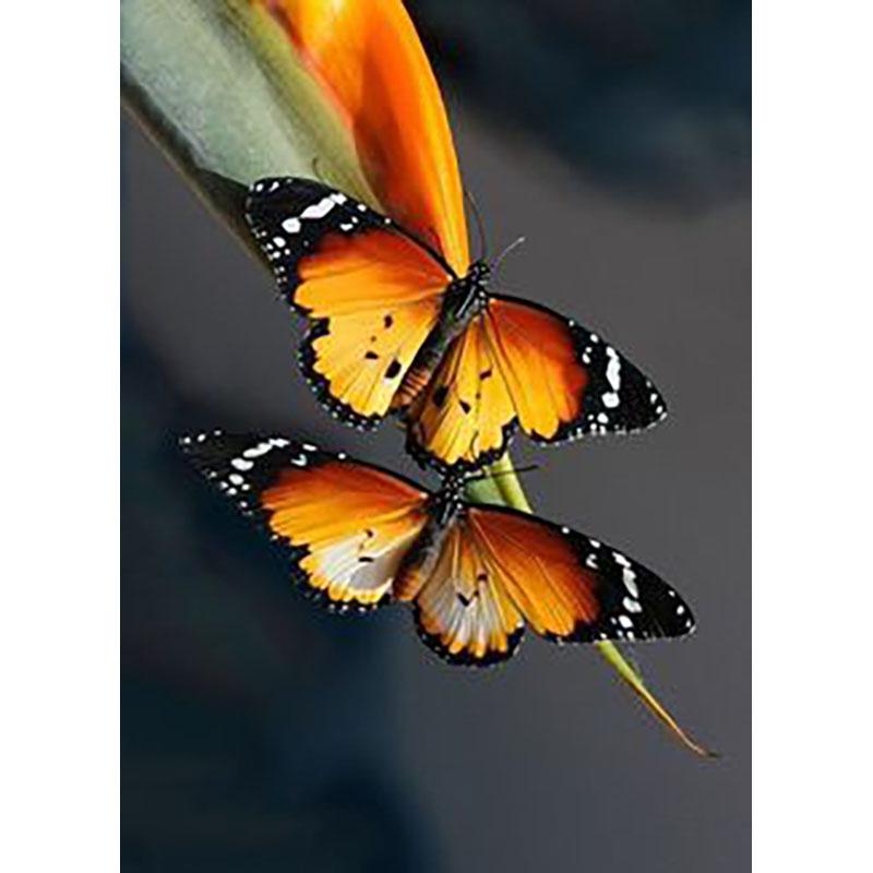 DIY Бабочка 5D алмазная живопись полная круглая дрель животное Алмазная вышивка наборы крестиков мозаика подарок настенное искусство домашний декор