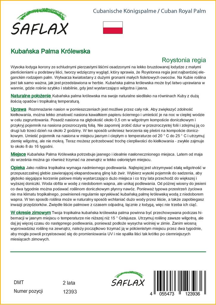 SAFLAX Cuban Royal Palm - 8 семян - С горшечным субстратом для лучшего выращивания - Roystonia regia