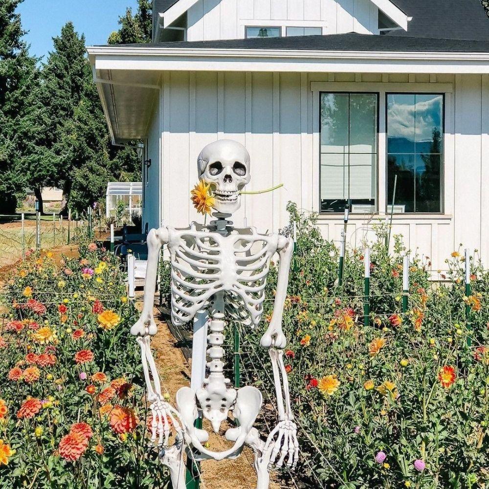40CM Halloween Human Skeleton Plastic Bone Model Creative Body Figurine Outdoor Indoor