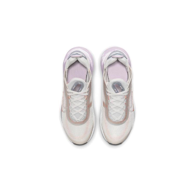 Nike Air Max 2090 Платиновый оттенок Светло-фиолетовый GS CJ4066-014