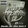 CD RUFF RYDERS - Ryde Or Die Compilation 1 INTD90315 Ruff Ryders, В 1999 г. Американский рэп и хип-хоп/R&B Использованный