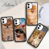 Чехол для телефона с изображением померанских собак для iPhone 11 12 13 14 Pro Max mini X XR XS SE 2020 6S 7 8 Plus Samsung Galaxy S21 S22
