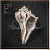 LP Record ROBERT PLANT & THE SENSATIONAL SPAC - Lullaby And The Ceaseless Roar 075597954333 NONESUCH 2014 UK Rock