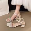 French Beautiful Thick Heel Sandals Women's Summer Wear with Skirt 2025 Popular Super Hot New Wedge Heel High Heel Small Sandals
