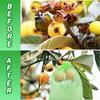 20pcs Grapes Fruit Protection Bags Garden Mesh Bags Agricultural Orchard Pest Control Anti-Bird Netting Vegetable Bags