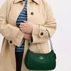 Coach Сумка на плечо Teri 24, кожаная, с металлическим логотипом, среднего размера, женская, зеленая CV934-SVQRJ