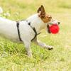 Squeaky Dog Chewing Sound Ball Toy Safe Teeth Cleaning Interactive Puppy Chew Toy Balls Dog Training Toys Pet Supplies for Boredom Relief Dental Care