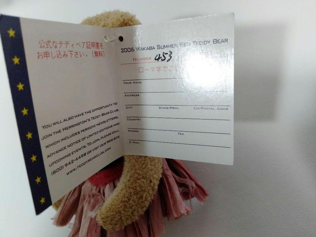 [USED] Hula Dancer Teddy Bear Official Teddy Bear