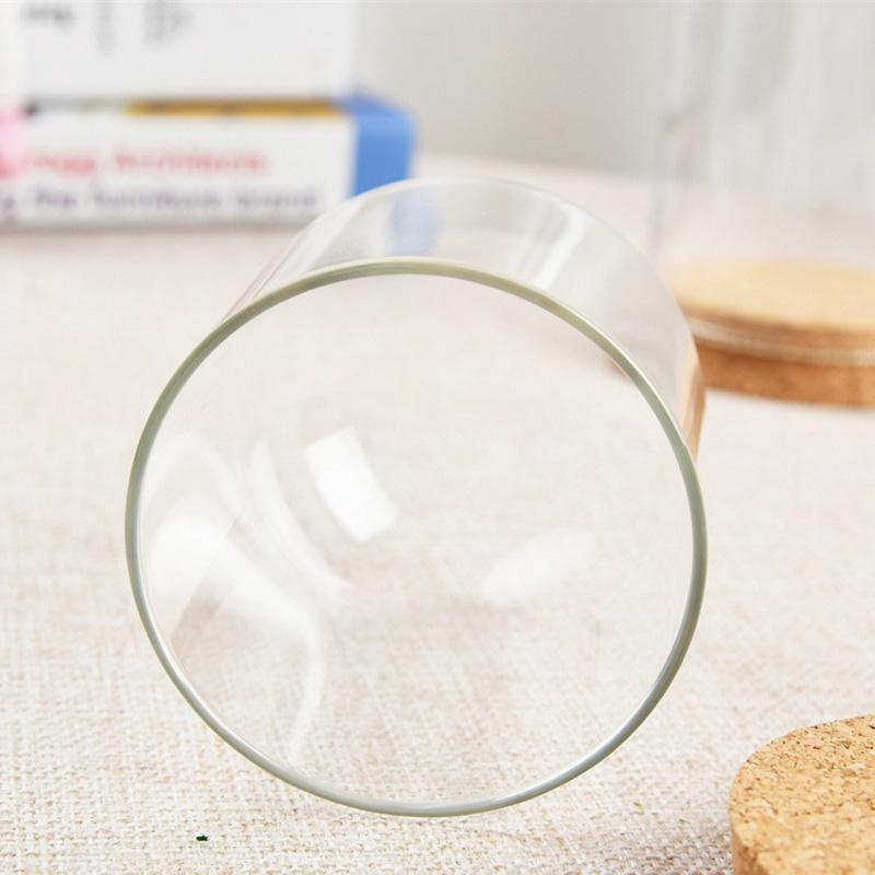 Glass Display Cloche Bell Jar Dome Flower Preservation Cover Wood Base DIY