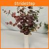 Leaf Eucalyptus Money Stems For Indoor Outdoor Wedding Gift Decoration
