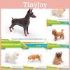 Pvc Dog Model With Doberman Shiba Inu Poodle Samoyed For Display And Gift