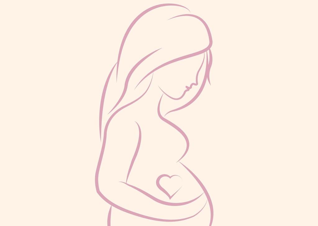 Иерихонская роза 200 г – Чаджарат Мариам Натуральное растение воскресения – Плодовитость, Зачатие и Процветание – Цветок для очищения энергии