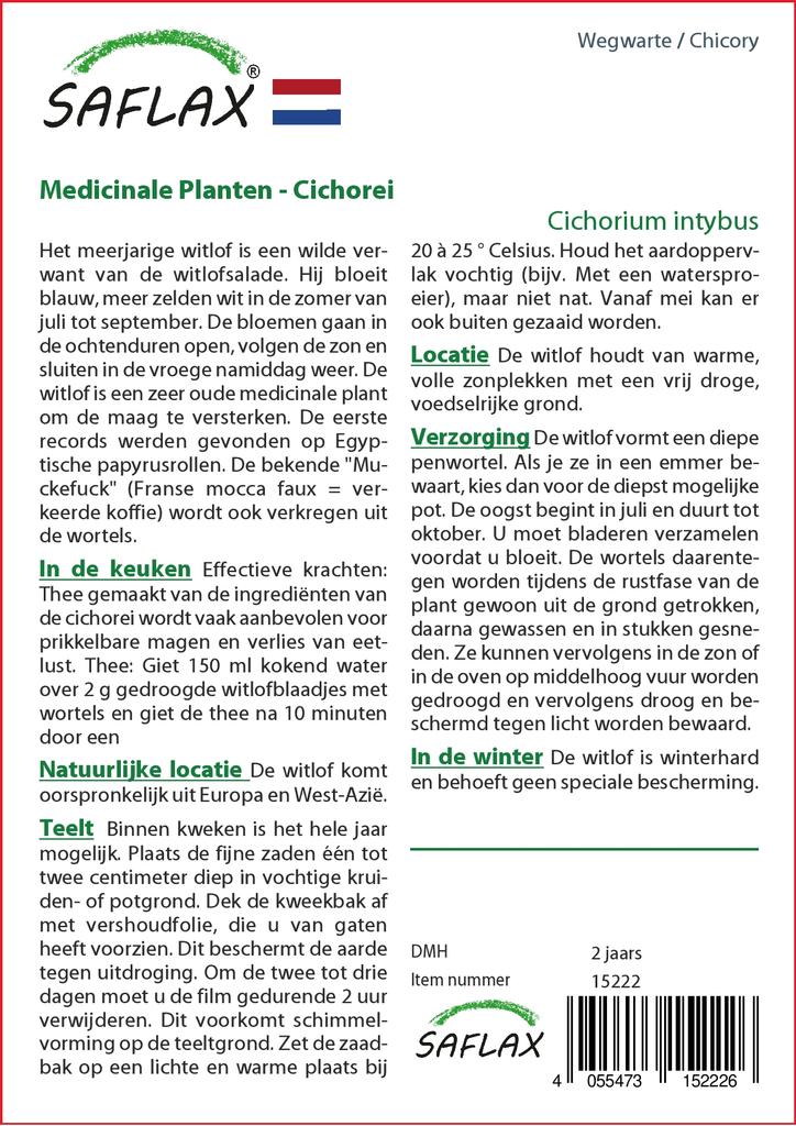 SAFLAX Garden in the Bag - Цикорий - 250 семян - С субстратом в подходящем пакете - Cichorium intybus