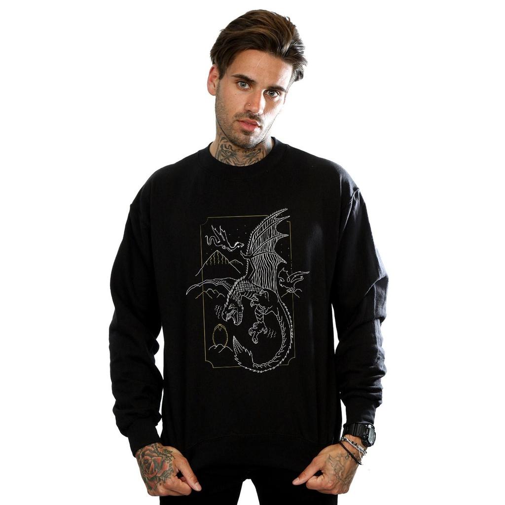 Harry Potter Mens Dragon Line Art Sweatshirt