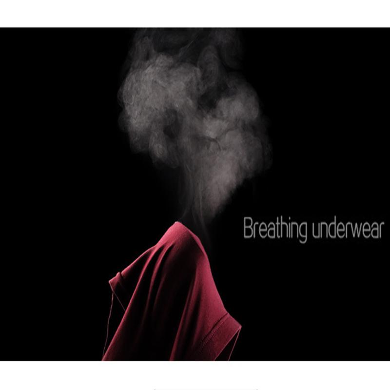 4pcs/set Men Middle Waist Breathable U Convex Design Dragon Pattern Boxers