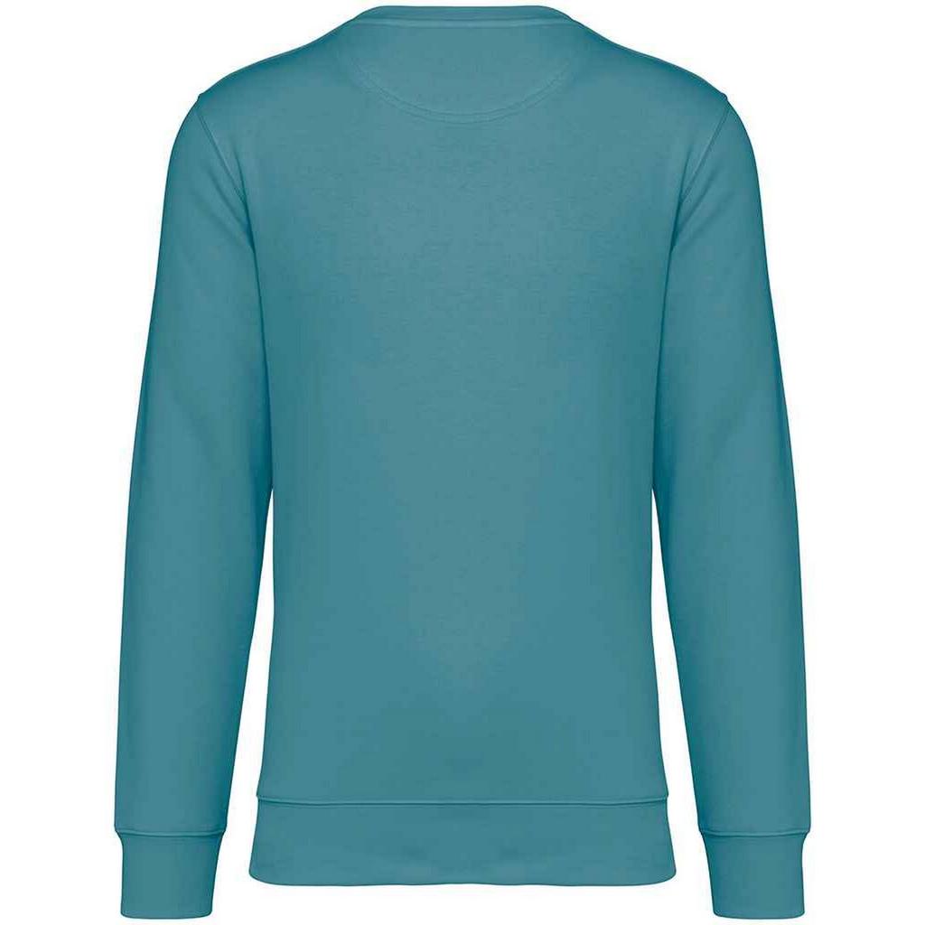 Толстовка унисекс для взрослых Native Spirit с круглым вырезом