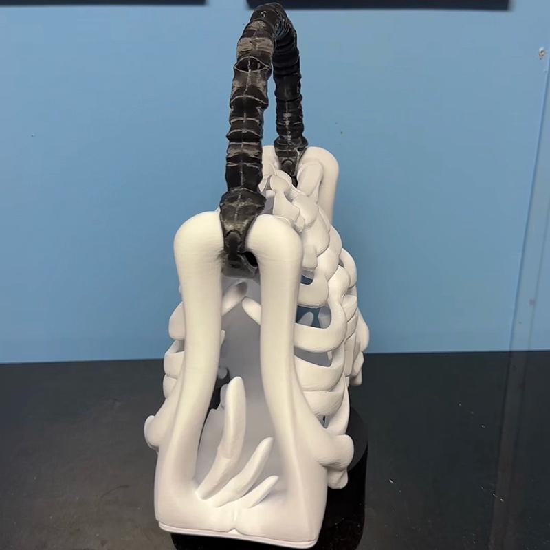 Сумка в виде кости скелета, напечатанная на 3D-принтере, готический кошелек-скелет, жуткая реалистичная сумочка в виде грудной клетки, функциональный карман, тематическая вечеринка на Хэллоуин