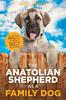 Книга The Anatolian Shepherd As a Family Dog : Successfully Raising Your Anatolian Shepherd To Thrive As a Family Dog