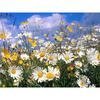 5D Алмазная картина Полная дрель Дейзи Стразы Картинки Алмазная вышивка Иконы Цветы Декор