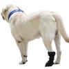 Breathable Wound Recovery Boot Adjustable Dog Foot Cover Pet Protective Shoes Dog Shoes  Wound Care