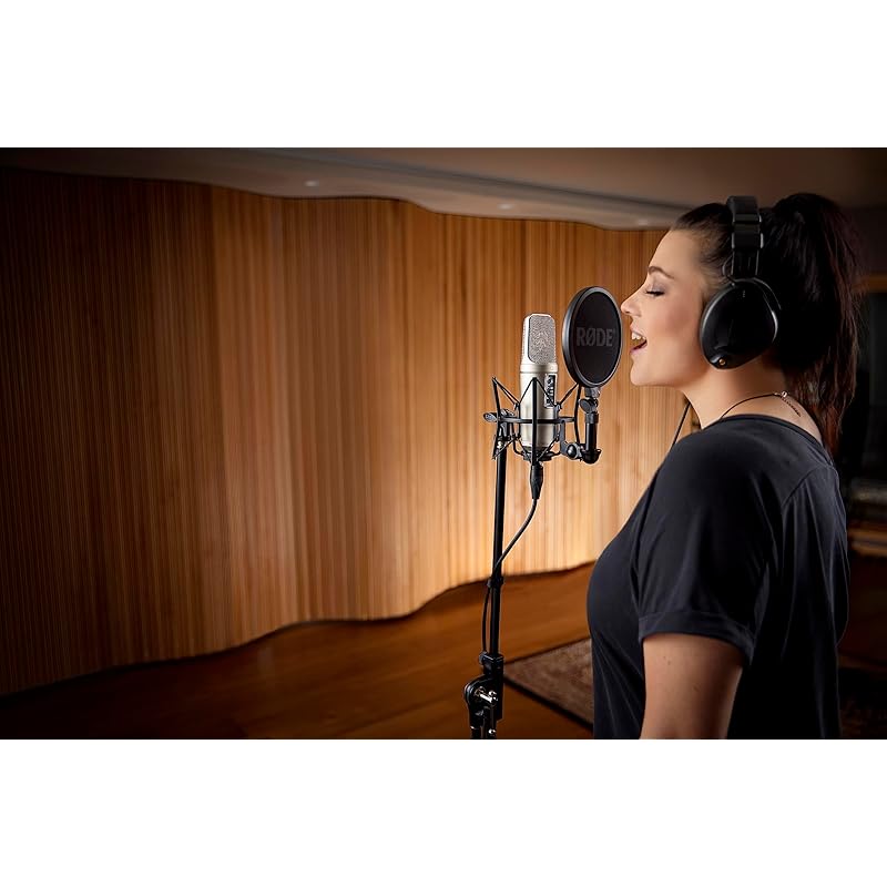 RODE Микрофоны дорожные микрофоны NT2-A конденсаторный микрофон NT2A
