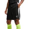 Брюки футбольные мужские Academy Dri-FIT Color Block Mesh Slim Fit низ IF1526-010