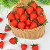 Искусственная модель клубники, Декор из ПВХ в виде поддельных фруктов для домашнего интерьера, Реквизит для фотографии