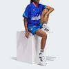 Adidas Разминочный топ Originals Hoop York City с буквенным логотипом и бейсбольным воротником, топы унисекс, синий IT9956
