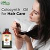 Organic Zing Colocynth (Citrullus Colocynthis) Oil | Pure & Natural Essential Oil for Skincare and Hair Care - 118ml/3.99fl Oz