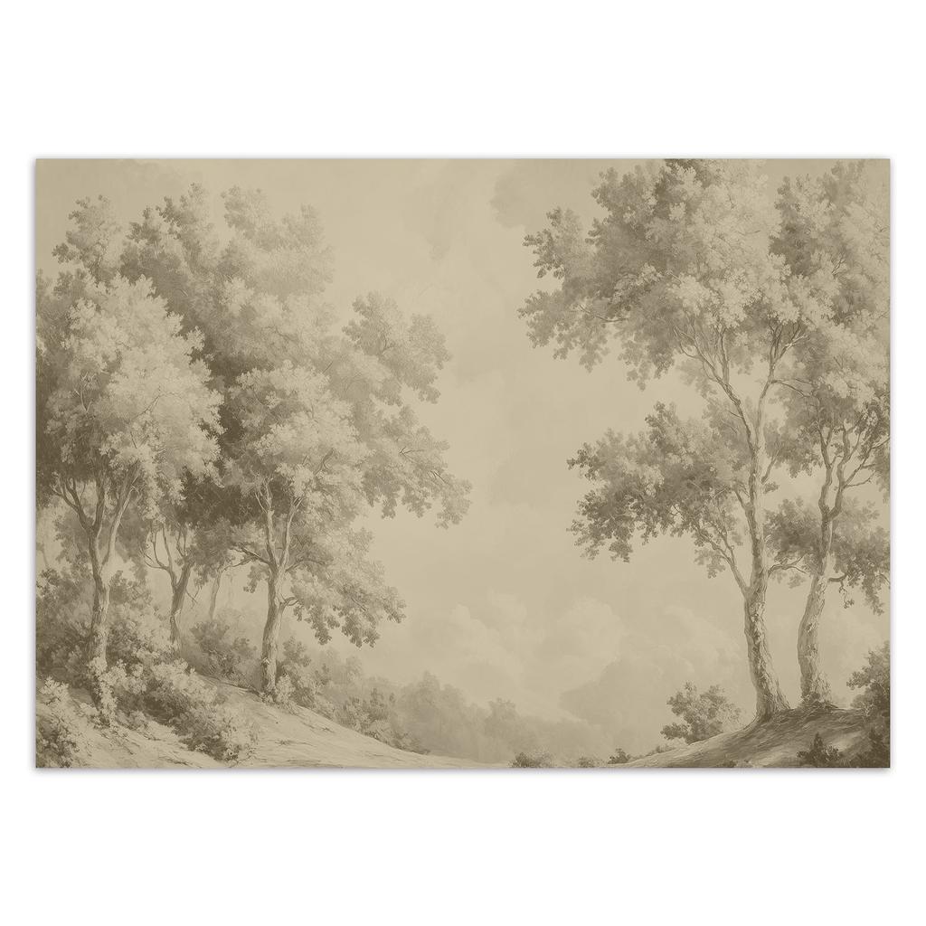 Wallpaper Forest Trees Nature