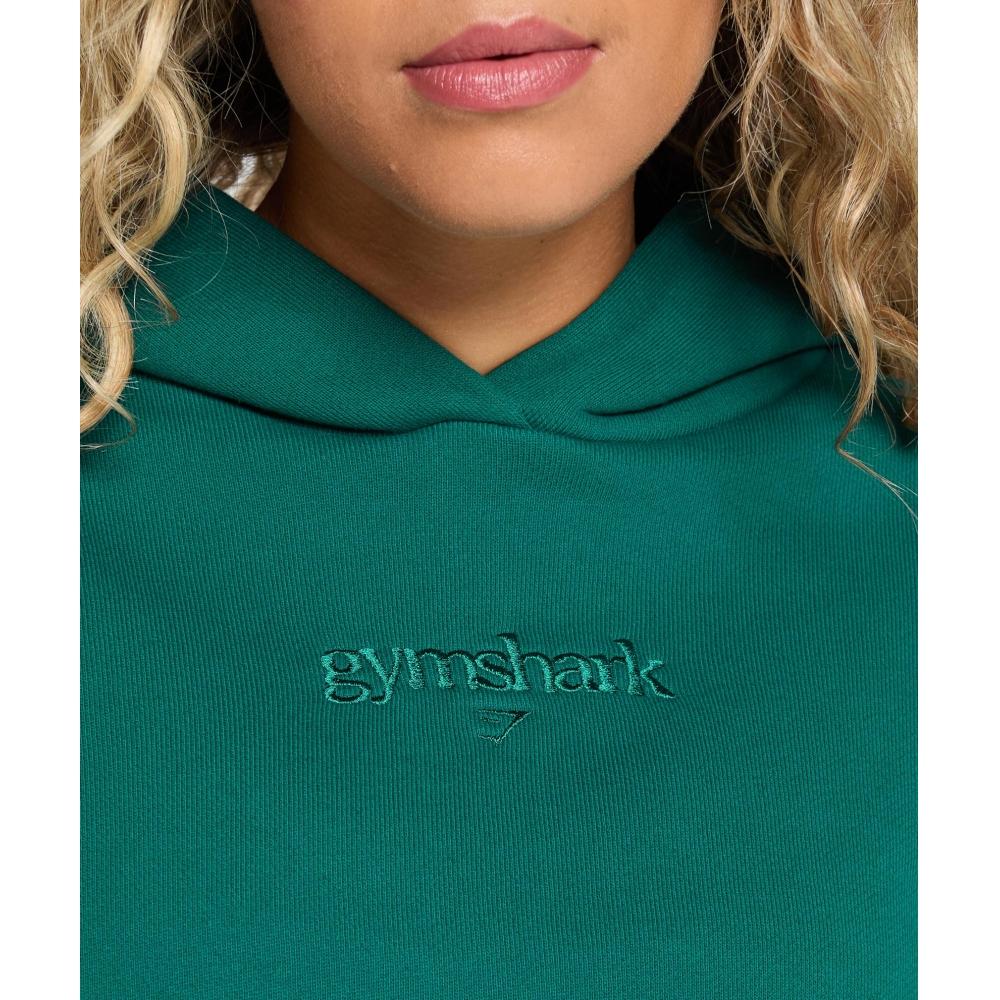 Gymshark Embroidered Oversized Hoodie Motivate Teal B1c9x Tbqr