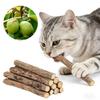 15 шт. Натуральная Мататаби Кошка Кошачья мята Игрушка Котёнок Зубочистка Жевательная палочка Уход за зубами питомца Лакомство для кошки Актинидия Серебристая Товары для домашних животных