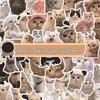 60 Realistic Kitten Stickers – Adorable Cat Expressions for Decorating Water Cups, Notebooks, and Planners
