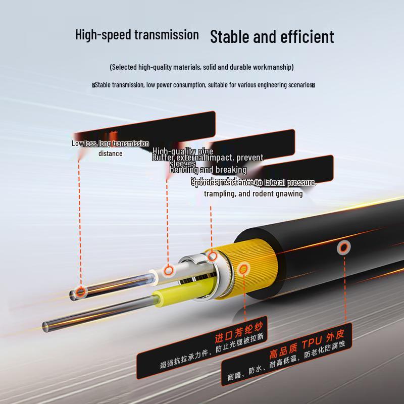 Dasheng 2-Core Single-Mode Field Fiber Optic Cable with Reel