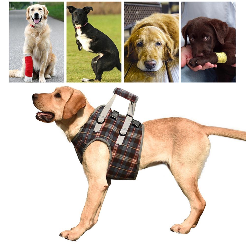 Soft Fabric Dog Leg Support Harness Multi Sizes Disabled Dog Mobility Strap  Arthritic Old Dog Walk