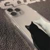 Черно-белый кот Чехол для телефона Для iPhone 17 16 15 11 12 14 13 Pro Max Mini X XS XR 7 Plus 16E Ударопрочный Прозрачный Чехол Fundas