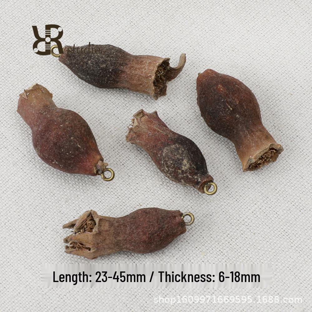 Natural Plant Seed Pendants: DIY Handmade Beaded Jewelry with Pine Cone and Acorn Materials for Necklaces and Earrings.
