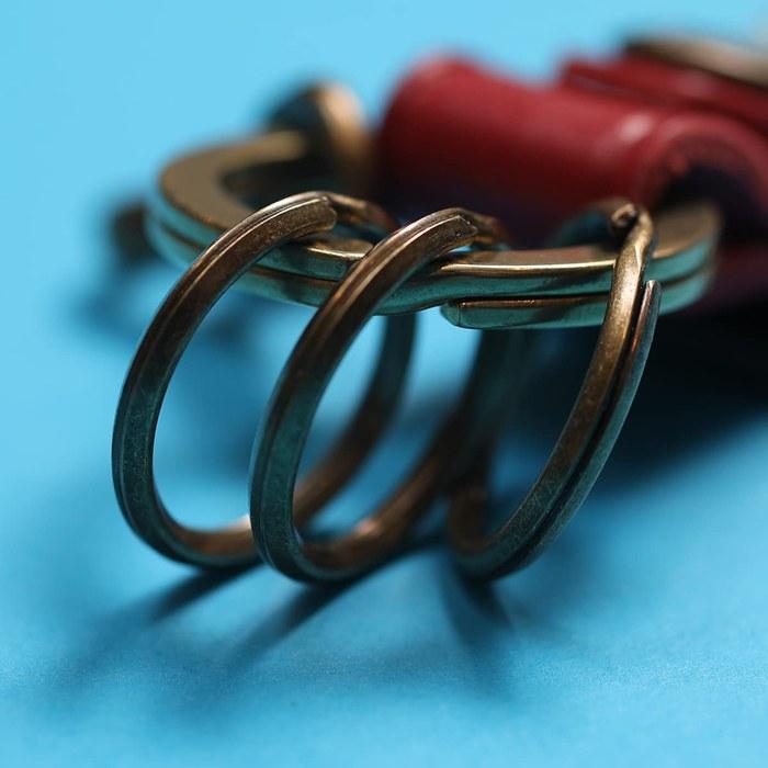 [Masterpiece] Keyholder Carabiner Camel Free Size