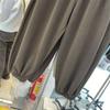 2025 Winter Women's European Loose Wide-Leg Thickened Plus Velvet Harem Sweatpants