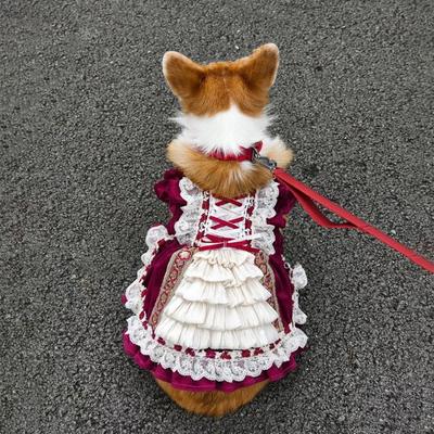 Одежда для питомцев весна и лето ультралегкая одежда для корги для боев одежда для питомцев юбка горничной бант юбка в стиле принцессы