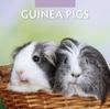 Книга Guinea Pigs 2024 Square Wall Calendar