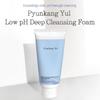 [Pyunkang Yul] *renewal* Low pH Pore Deep Cleansing Foam 100ml